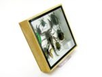 Echte exotische Insekten - Einzelstück - im 3D S-Schaukasten - Wandbild A-S-43 – Bild 4