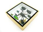 Echte exotische Insekten - Einzelstück - im 3D S-Schaukasten - Wandbild A-S-43 – Bild 7