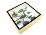 Echte exotische Insekten - Einzelstück - im 3D S-Schaukasten - Wandbild A-S-43 – Bild 8