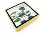 Echte exotische Insekten - Einzelstück - im 3D S-Schaukasten - Wandbild A-S-44 – Bild 8