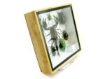 Echte exotische Insekten - Einzelstück - im 3D S-Schaukasten - Wandbild A-S-45 – Bild 4