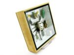 Echte exotische Insekten - Einzelstück - im 3D S-Schaukasten - Wandbild A-S-50 – Bild 4