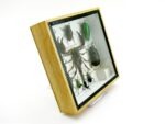 Echte exotische Insekten - Einzelstück - im 3D S-Schaukasten - Wandbild A-S-52 – Bild 4
