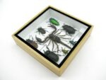 Echte exotische Insekten - Einzelstück - im 3D S-Schaukasten - Wandbild A-S-52 – Bild 7