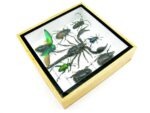 Echte exotische Insekten - Einzelstück - im 3D S-Schaukasten - Wandbild A-S-53 – Bild 8