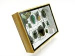 Echte tropische Insekten - Einzelstück - im 3D M-Schaukasten - Wandbild 7-A-M-04 – Bild 3