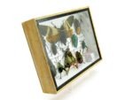 Echte tropische Insekten - Einzelstück - im 3D M-Schaukasten - Wandbild 3-A-M-05 – Bild 3