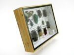 Echte tropische Insekten - Einzelstück - im 3D M-Schaukasten - Wandbild 1-A-M-09 – Bild 3