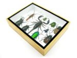 Echte tropische Insekten - Einzelstück - im 3D M-Schaukasten - Wandbild 4-A-M-11 – Bild 6