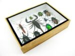 Echte tropische Insekten - Einzelstück - im 3D M-Schaukasten - Wandbild 4-A-M-11 – Bild 7