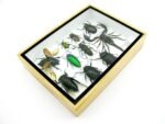 Echte tropische Insekten - Einzelstück - im 3D M-Schaukasten - Wandbild 6-A-M-30 – Bild 7