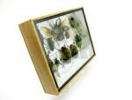 Echte tropische Insekten - Einzelstück - im 3D M-Schaukasten - Wandbild 3-A-M-40 – Bild 3