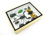 Echte tropische Insekten - Einzelstück - im 3D M-Schaukasten - Wandbild 3-A-M-54 – Bild 7