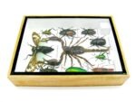 Echte tropische Insekten - Einzelstück - im 3D M-Schaukasten - Wandbild 1-A-M-59 – Bild 9
