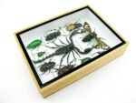 Echte tropische Insekten - Einzelstück - im 3D M-Schaukasten - Wandbild 2-A-M-61 – Bild 7