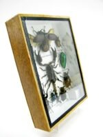 Echte tropische Insekten - Einzelstück - im 3D M-Schaukasten - Wandbild 4-A-M-66 – Bild 3