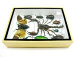 Echte tropische Insekten - Einzelstück - im 3D M-Schaukasten - Wandbild 6-A-M-70 – Bild 9