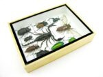 Echte tropische Insekten - Einzelstück - im 3D M-Schaukasten - Wandbild 8-A-M-72 – Bild 7