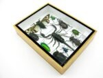 Echte tropische Insekten - Einzelstück - im 3D M-Schaukasten - Wandbild 7-A-M-73 – Bild 6
