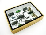 Echte tropische Insekten - Einzelstück - im 3D M-Schaukasten - Wandbild 7-A-M-73 – Bild 7