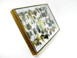 Echte exotische Insekten - Einzelstück - im 3D XL-Schaukasten - Wandbild 2-A-XL-01 – Bild 4
