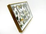 Echte exotische Insekten - Einzelstück - im 3D XL-Schaukasten - Wandbild 2-A-XL-03 – Bild 4