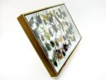 Echte exotische Insekten - Einzelstück - im 3D XL-Schaukasten - Wandbild 3-A-XL-04 – Bild 4