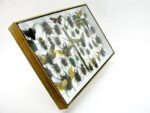 Echte exotische Insekten - Einzelstück - im 3D XL-Schaukasten - Wandbild 6-A-XL-05 – Bild 4