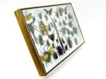 Echte exotische Insekten - Einzelstück - im 3D XL-Schaukasten - Wandbild 4-A-XL-06 – Bild 4