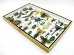 Echte exotische Insekten - Einzelstück - im 3D XL-Schaukasten - Wandbild 4-A-XL-10 – Bild 7