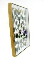 Echte exotische Insekten - Einzelstück - im 3D XL-Schaukasten - Wandbild 2-A-XL-16 – Bild 4