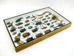 Echte exotische Insekten - Einzelstück - im 3D XL-Schaukasten - Wandbild 2-A-XL-17 – Bild 8