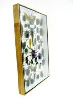 Echte exotische Insekten - Einzelstück - im 3D XL-Schaukasten - Wandbild 4-A-XL-20 – Bild 4