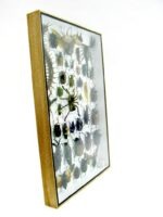 Echte exotische Insekten - Einzelstück - im 3D XL-Schaukasten - Wandbild 5-A-XL-21 – Bild 4