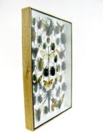 Echte exotische Insekten - Einzelstück - im 3D XL-Schaukasten - Wandbild 1-A-XL-23 – Bild 4