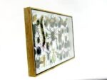 Echte exotische Insekten - Einzelstück - im 3D XL-Schaukasten - Wandbild 8-A-XL-28 – Bild 4