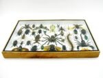 Echte exotische Insekten - Einzelstück - im 3D XL-Schaukasten - Wandbild 8-A-XL-28 – Bild 11