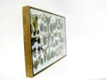 Echte exotische Insekten - Einzelstück - im 3D XL-Schaukasten - Wandbild 7-A-XL-29 – Bild 4