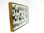 Echte exotische Insekten - Einzelstück - im 3D XL-Schaukasten - Wandbild 8-A-XL-30 – Bild 4