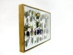 Echte exotische Insekten - Einzelstück - im 3D XL-Schaukasten - Wandbild 8-A-XL-31 – Bild 5